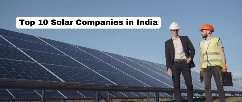 Top 10 Solar Companies in India